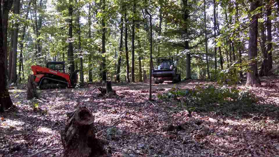 Northern Virginia Land Clearing Services