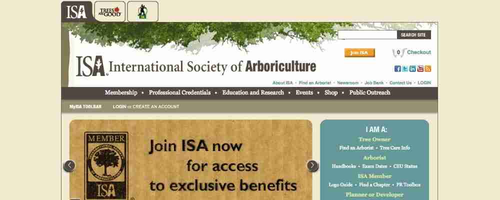 Why Become A Certified Arborist