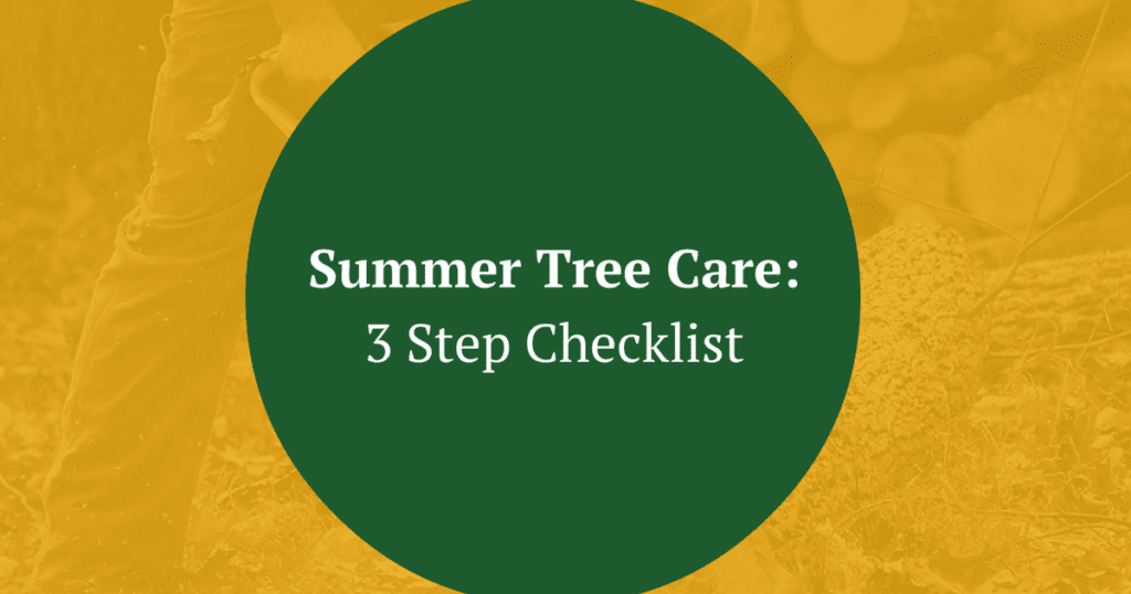 Summer Tree Care 3 Step Checklist