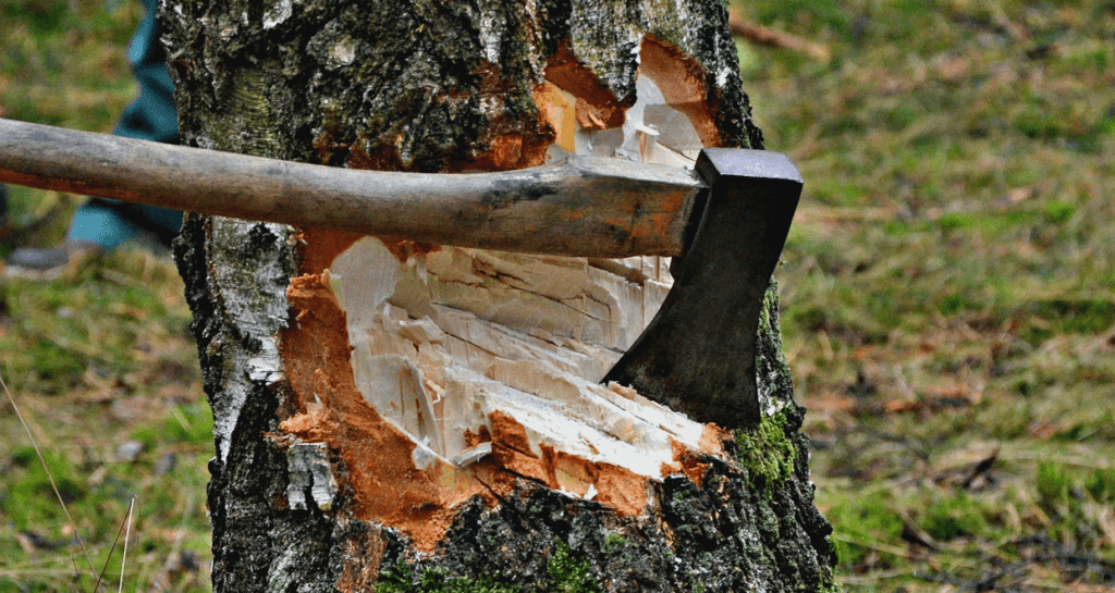 tree removal cost per tree