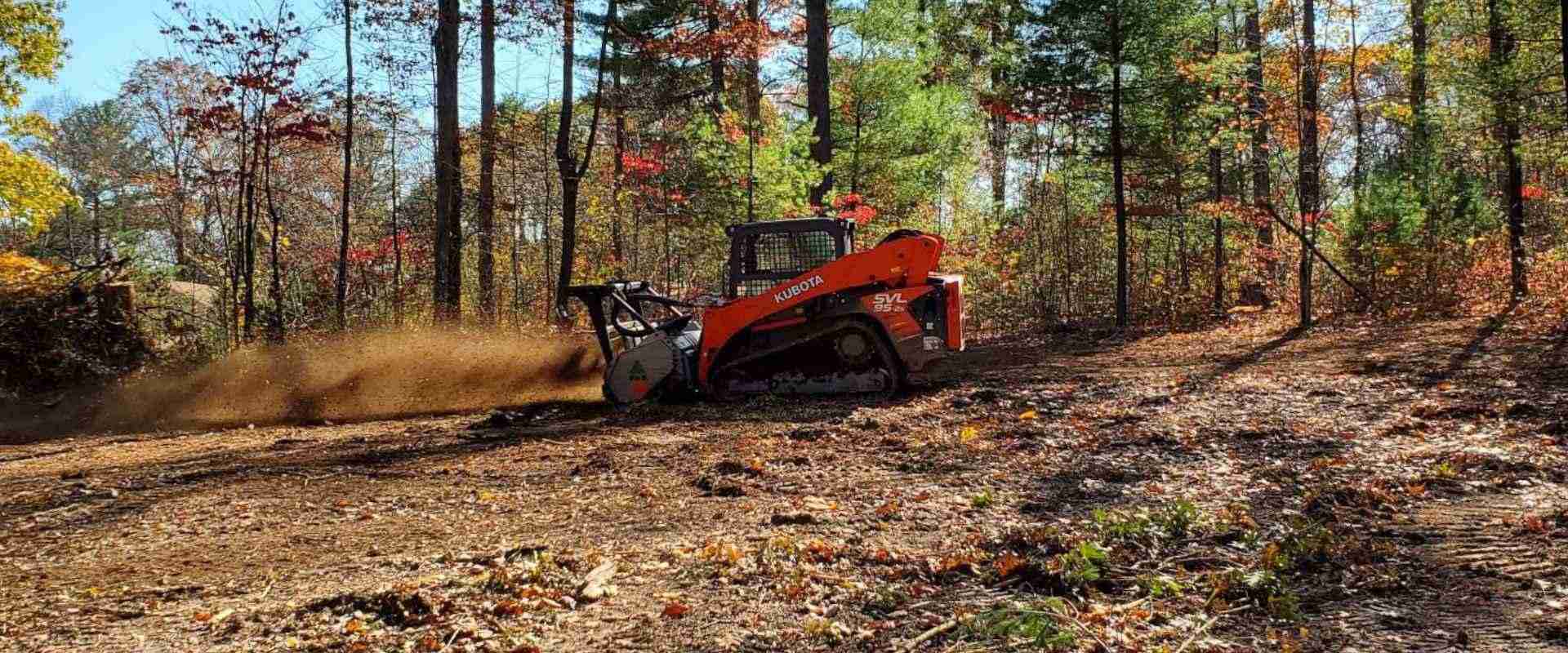 Benefits of Trail Creation with a Forestry Mulcher - Timber Works Tree Care