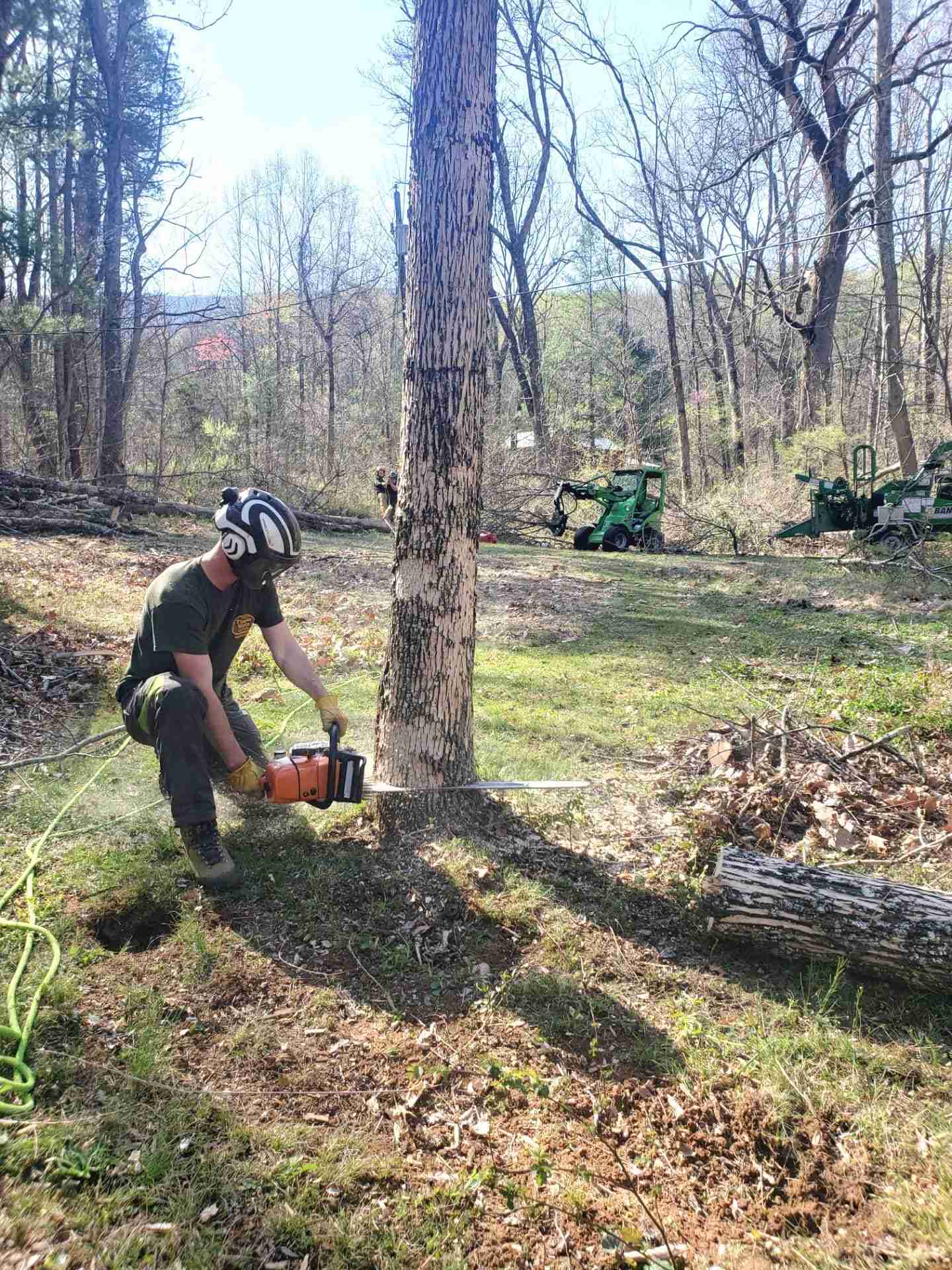 Tree Maintenance Warrenton VA