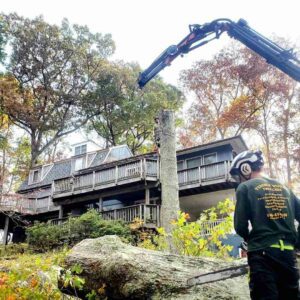 Emergency Tree Removal Haymarket VA