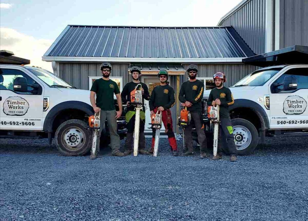 Tree Trimming Service Gainesville VA