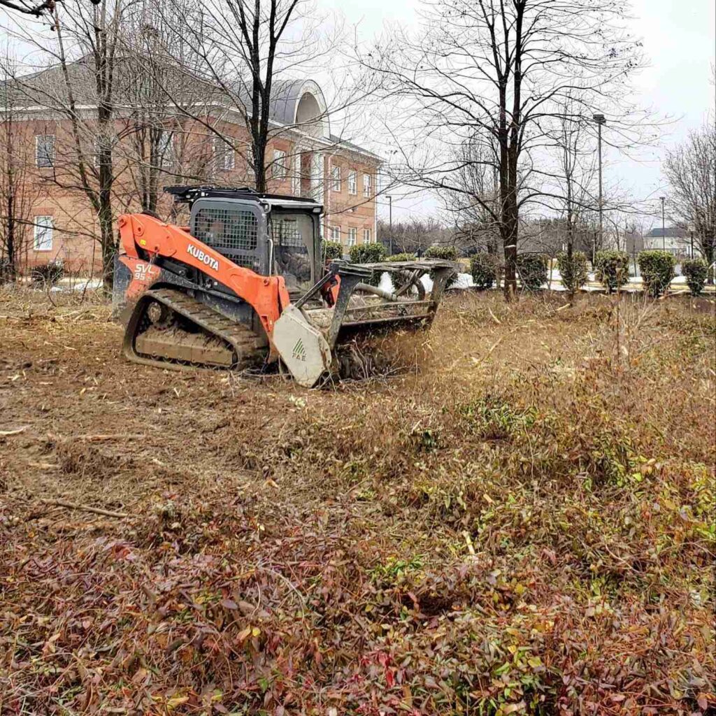 Tree Thinning The Plains VA