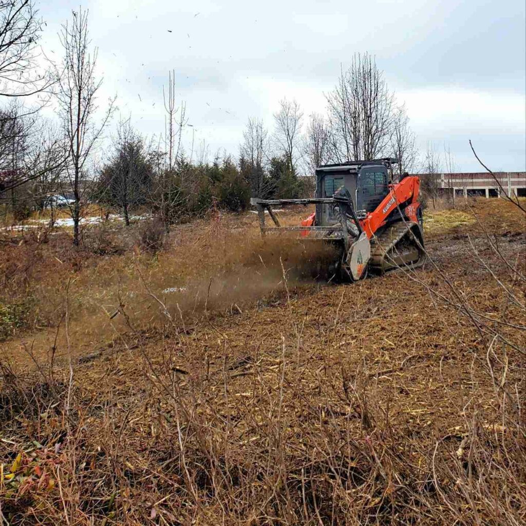 Professional Land Clearing in Clear Brook VA