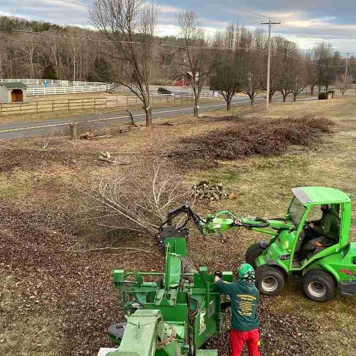 Vegetation Management Linden VA