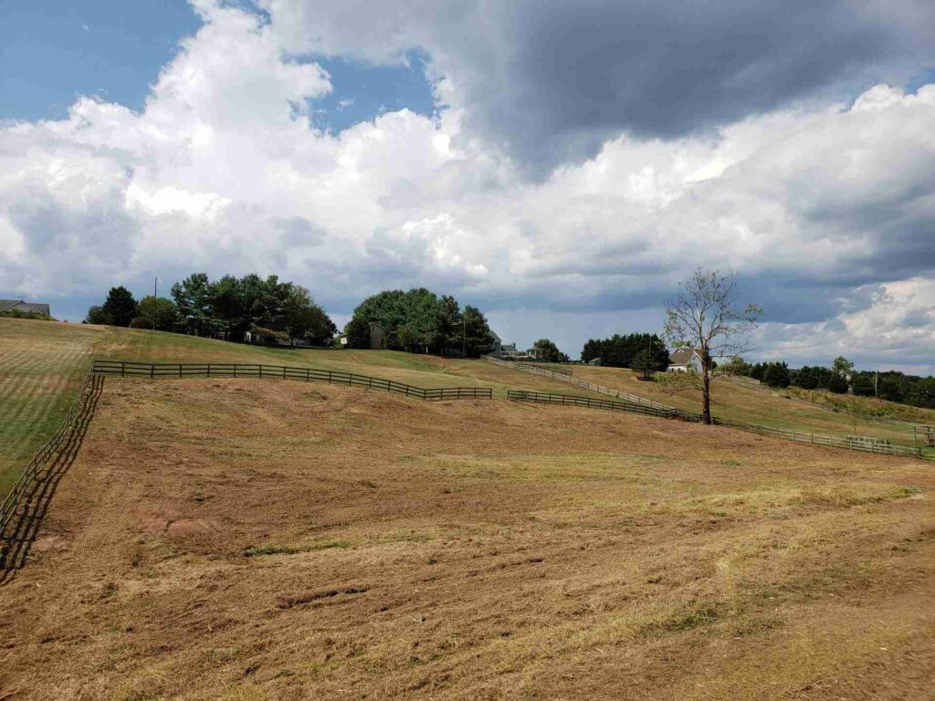 Forestry Mulching Boyce VA