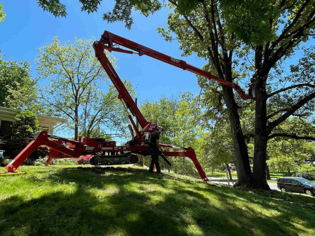 Tree Service Potomac Falls VA