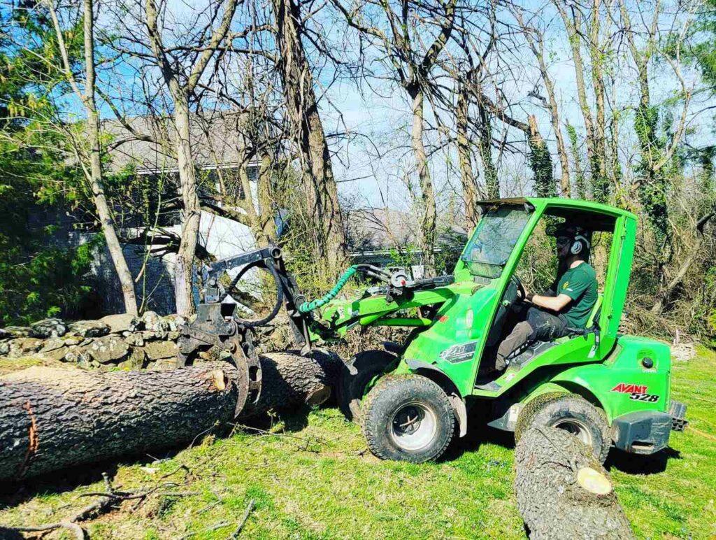 Emergency Tree Removal Bentonville VA