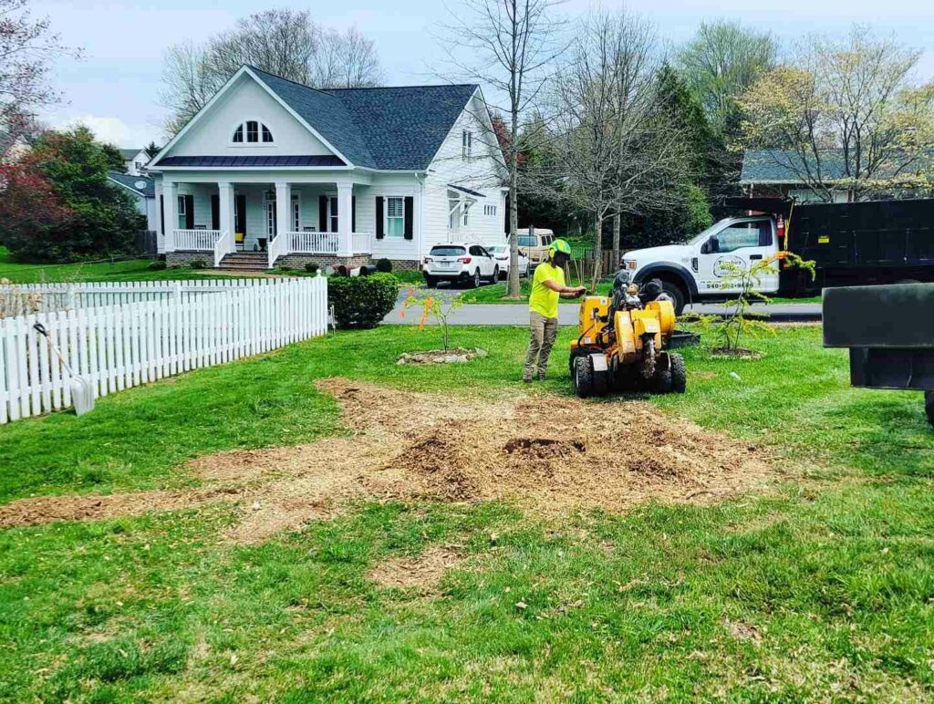 Stump Grinding Berryville VA