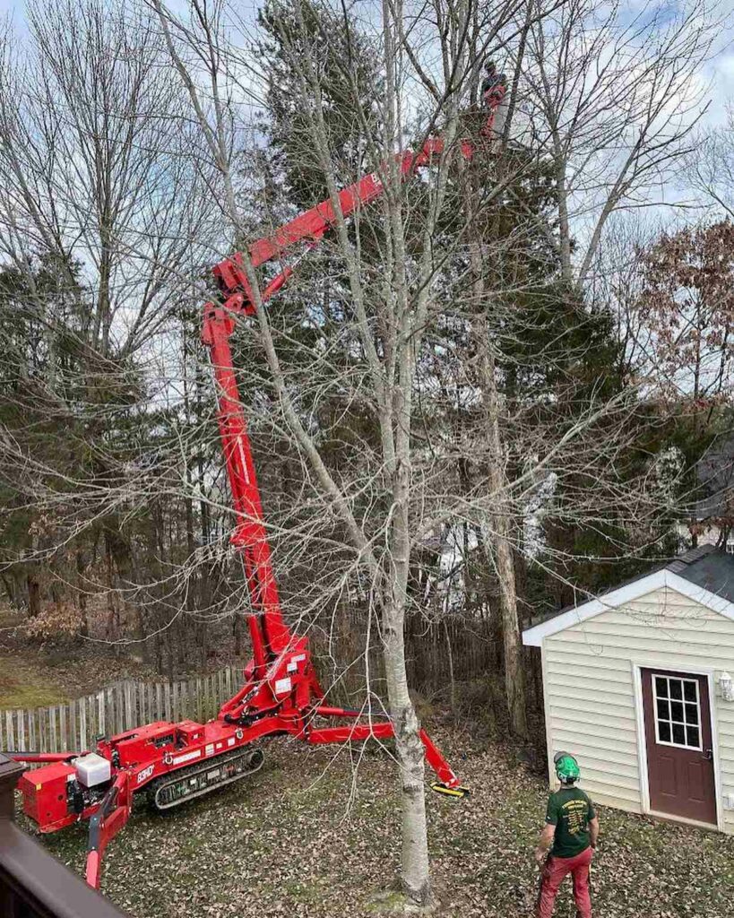 Affordable Tree Service Delaplane, VA