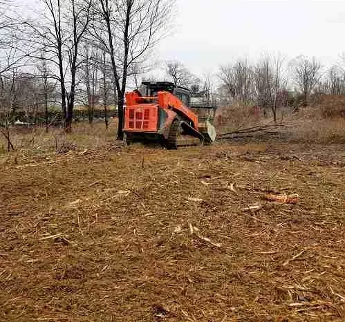 Brush being cleared by tractor in field