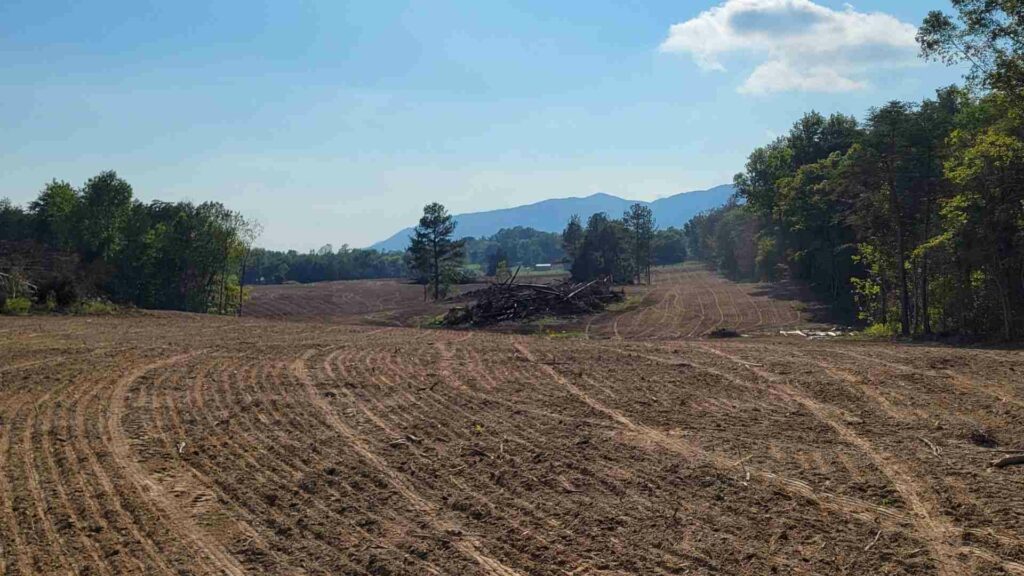 Land Clearing Services Strasburg VA