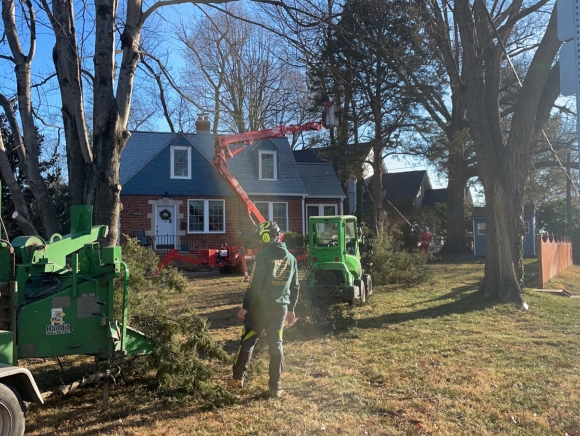 Sperryville Tree Trimming