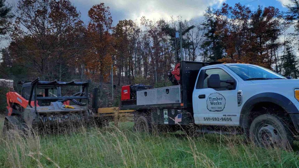 Forestry Mulching Bristow VA