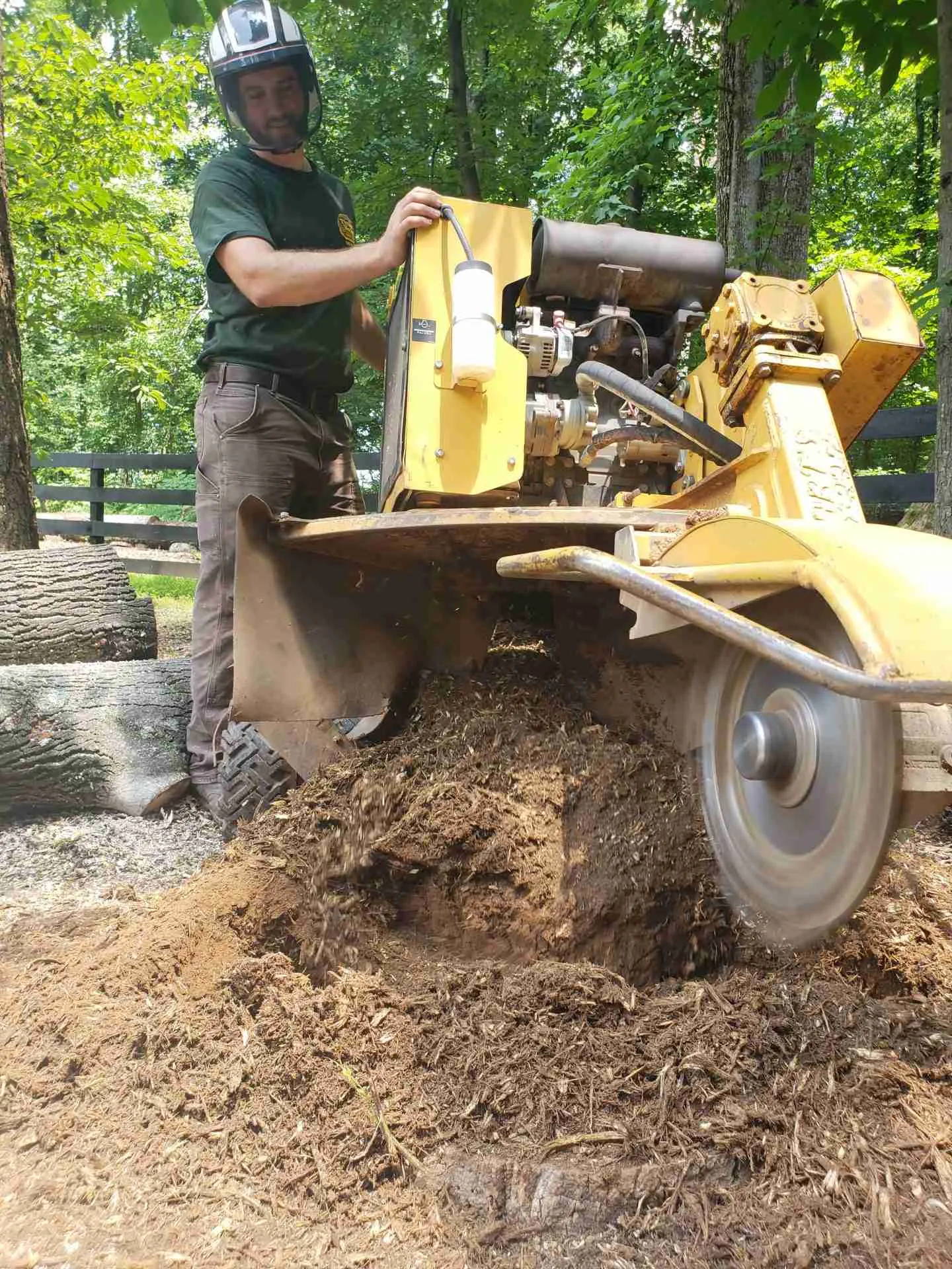 Commercial Stump Grinding