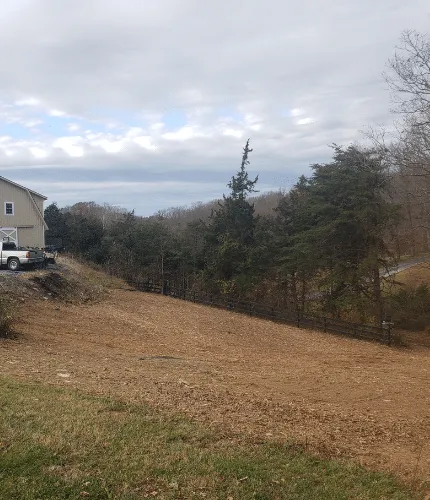 Commercial Land Clearing in Virginia