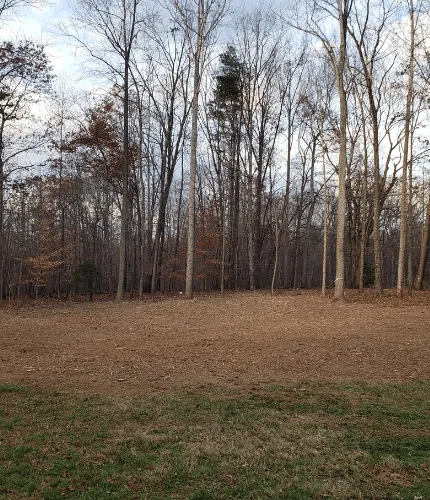 Commercial Land Clearing in Virginia