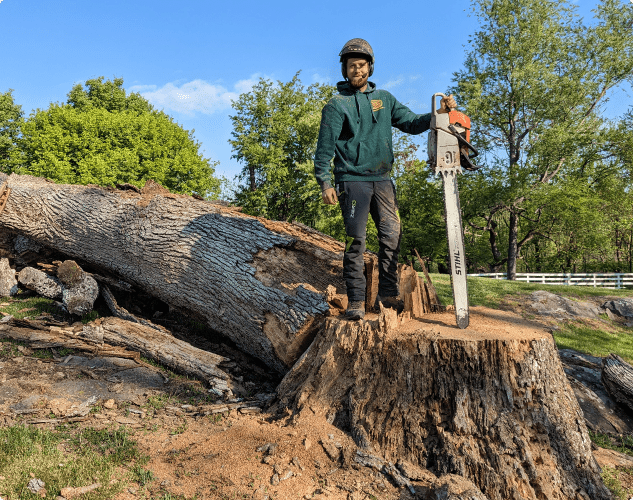 Timberworks Tree Worker