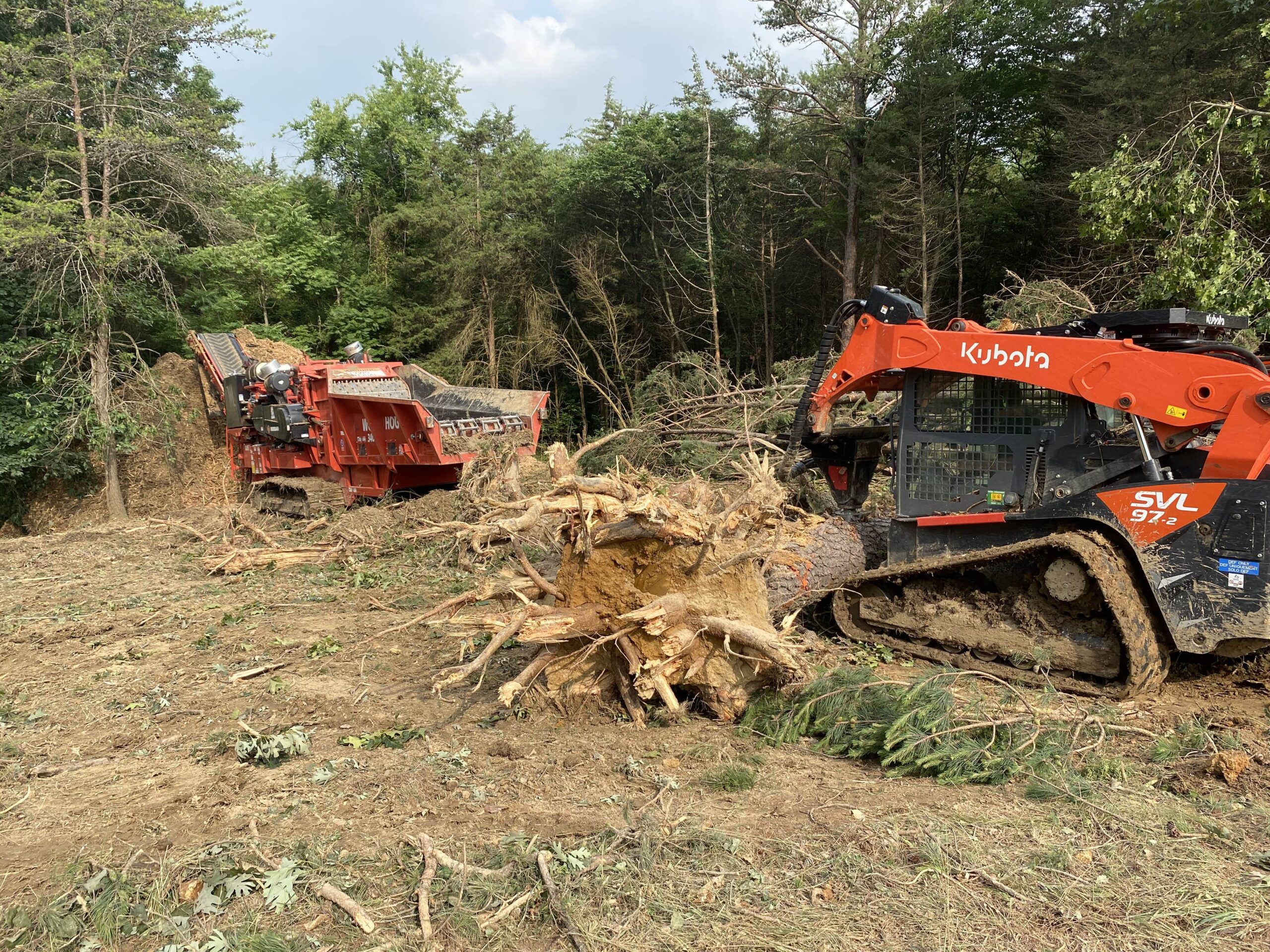 Affordable Tree Service Delaplane VA