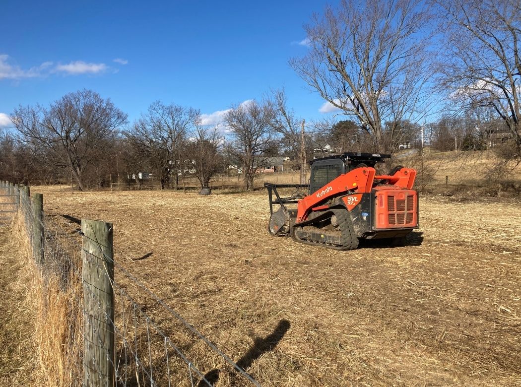 Affordable Tree Service Delaplane VA