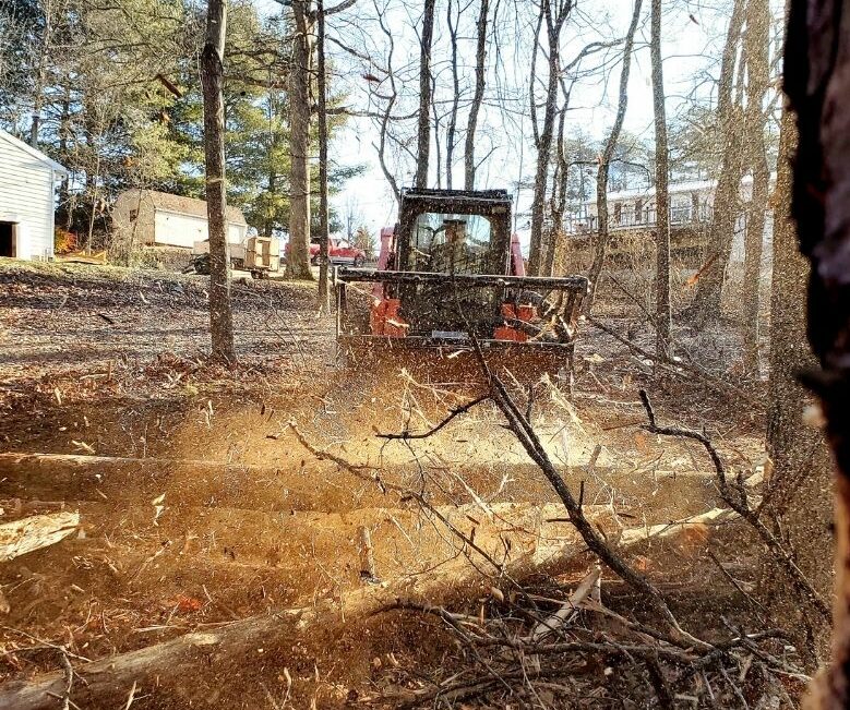 Affordable Tree Service Delaplane VA