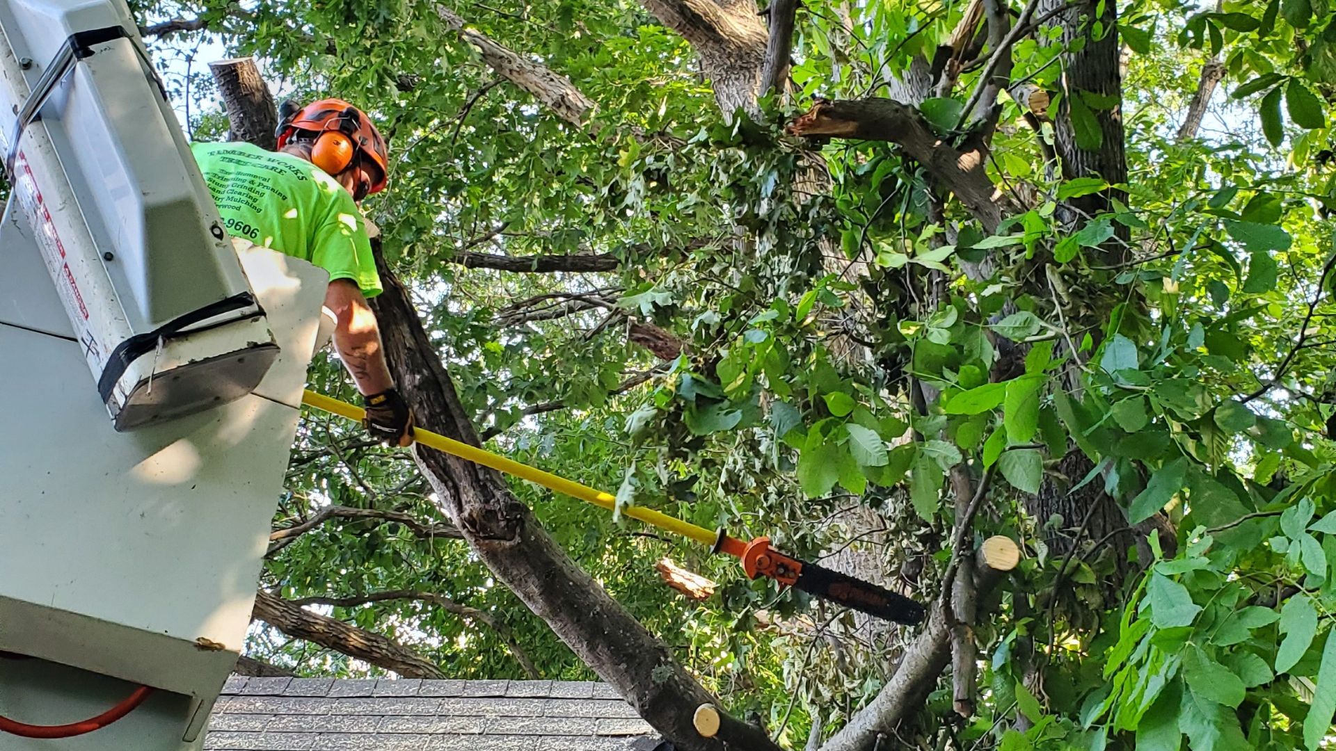 Tree Trimming Companies Middletown VA