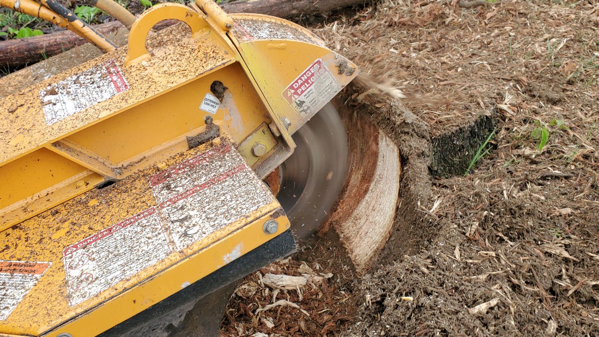 Tree Stump Removal Haymarket VA