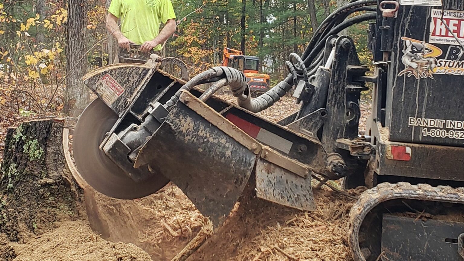 Why Remove Tree Stumps | Tree Stump Removal Haymarket VA