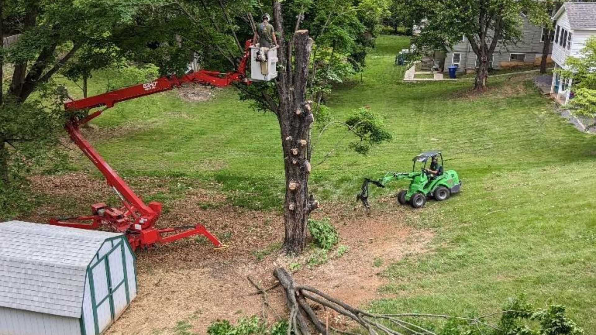 Tree Removal Professionals Chantilly VA