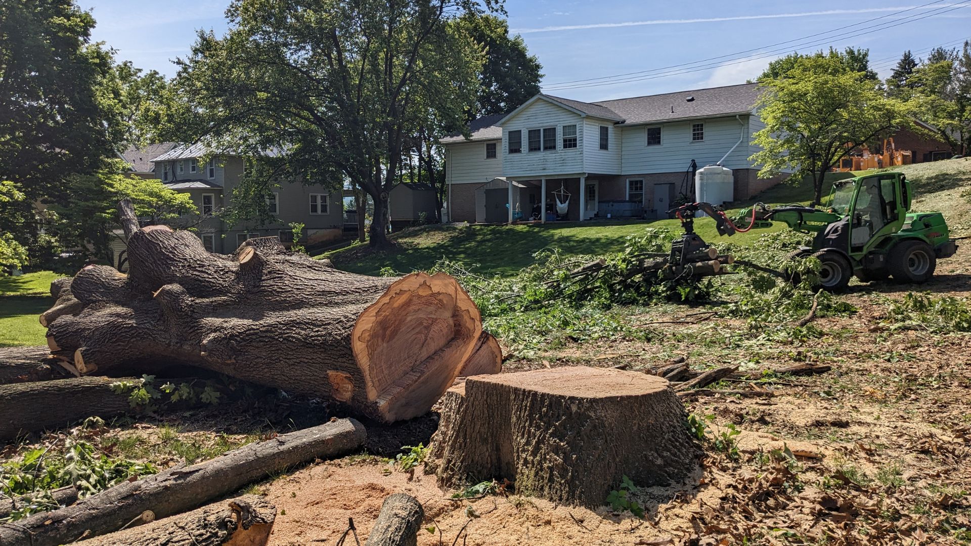 The Benefits of Splitting Green Wood - Timber Works Tree Care