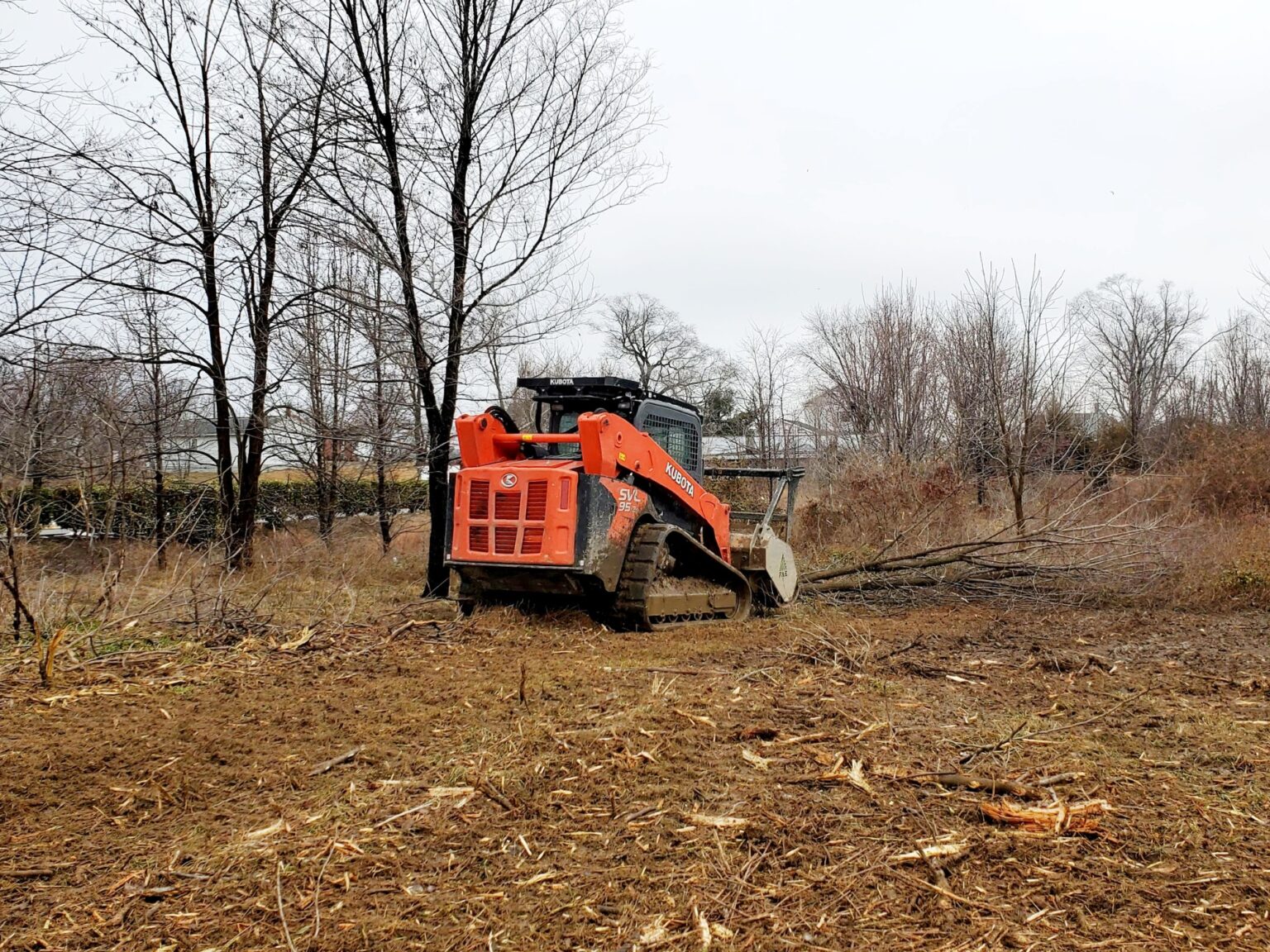 How Tree Mulching Works Forestry Mulching Manassas VA