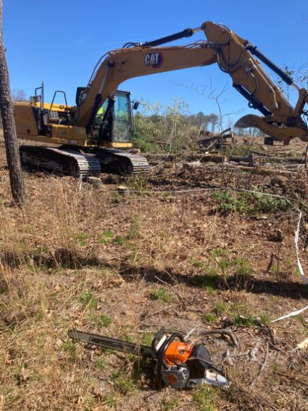 tree removal service Purcellville VA