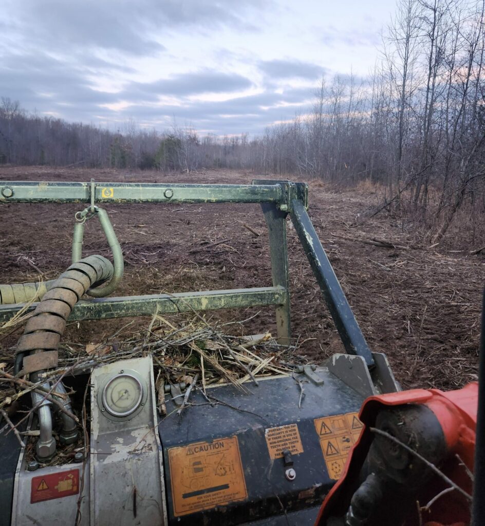 Turn Trees into Resources | Forestry Mulching Berryville VA