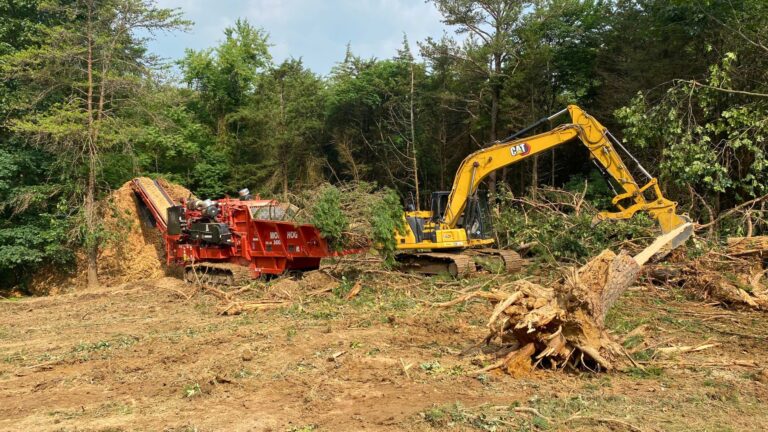 Brush Clearing in Shenandoah VA
