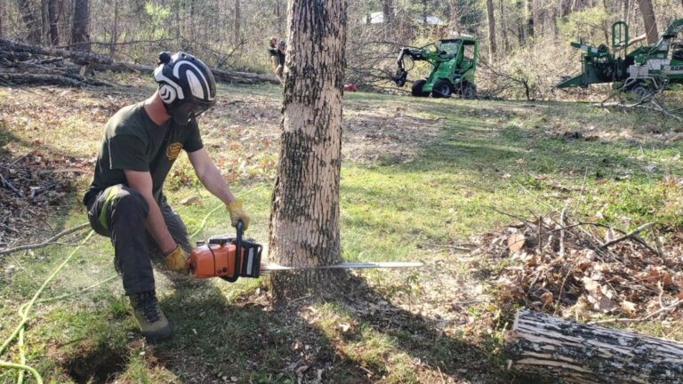 Local Tree Services Winchester VA