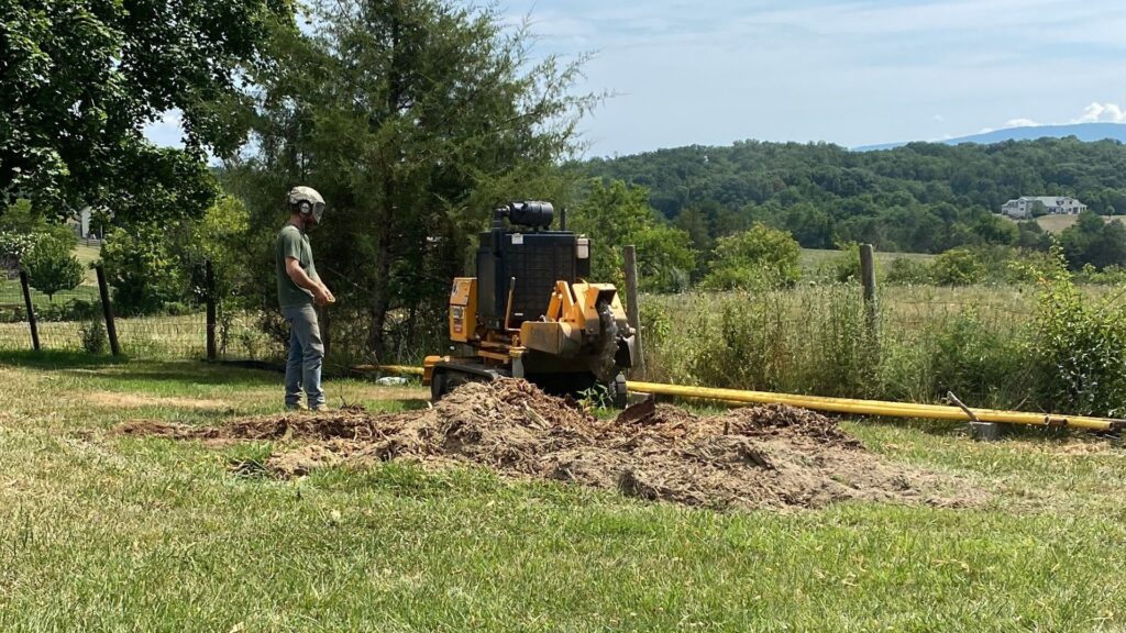 stump grinding in Bunker Hill WV