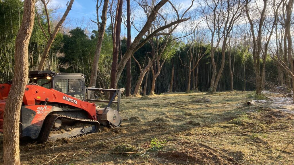 stump grinding in Bunker Hill WV