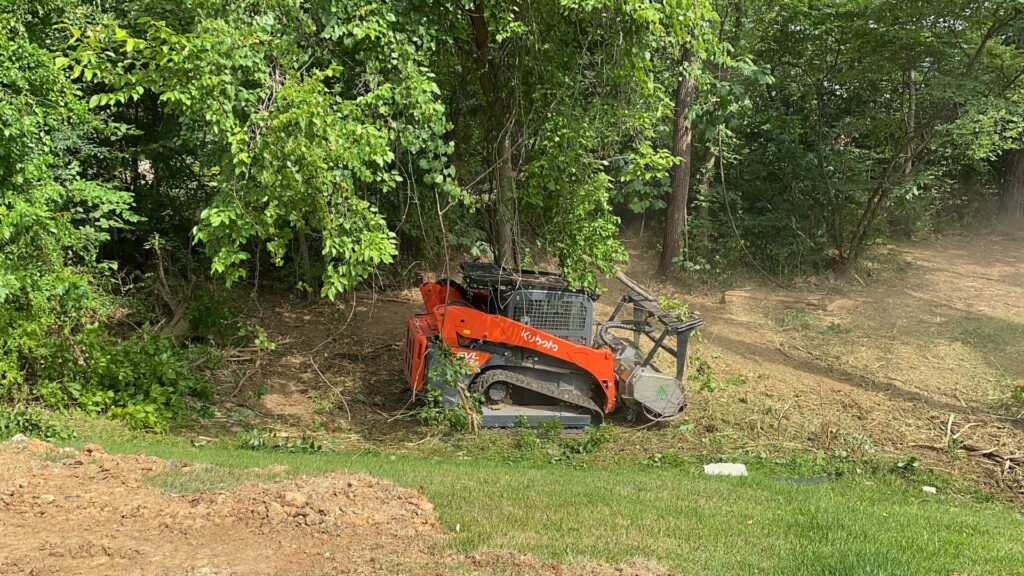 forestry mulching services Ashville VA