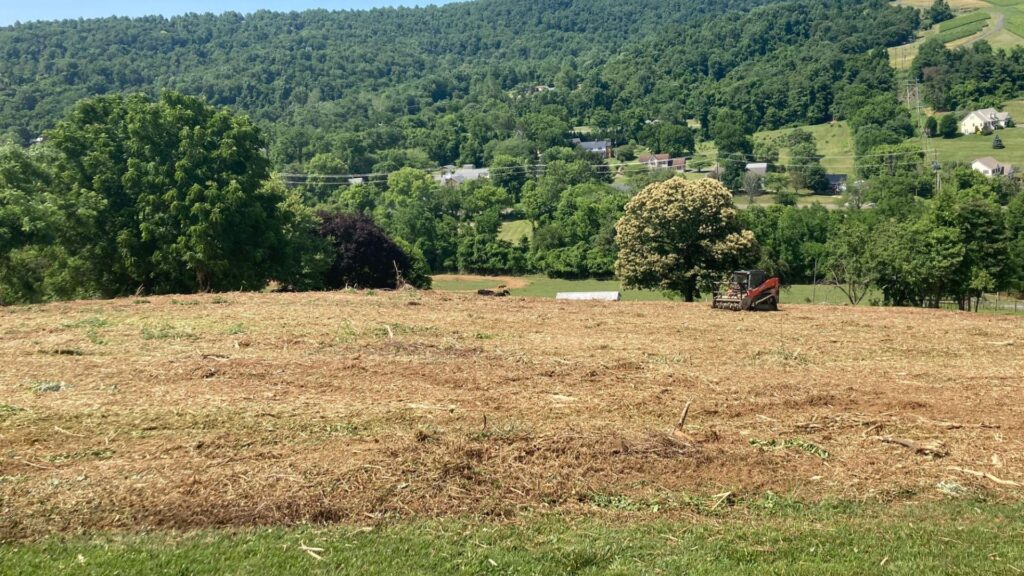 land clearing Bentonville VA