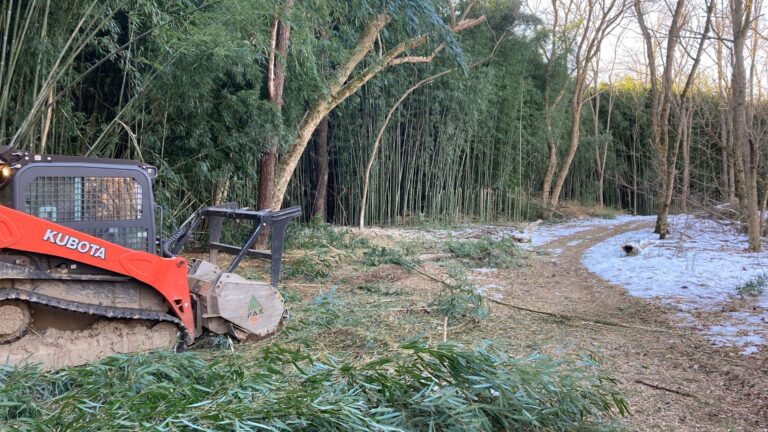 tree mulching Martinsville WV