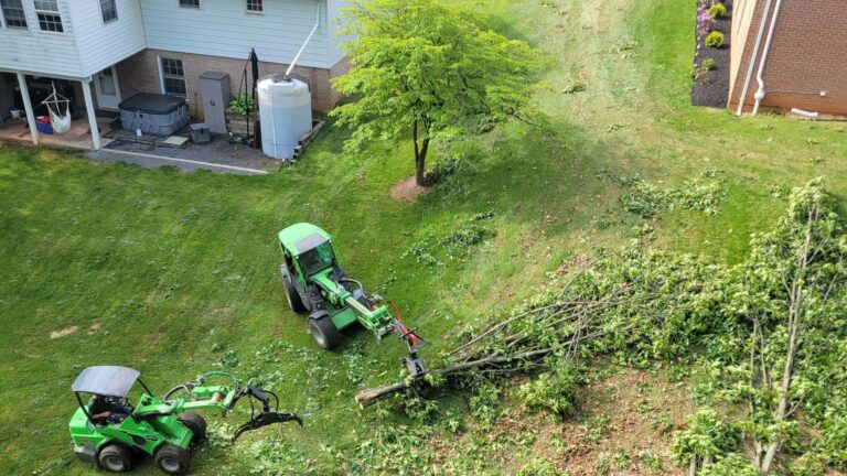 lot clearing Virginia