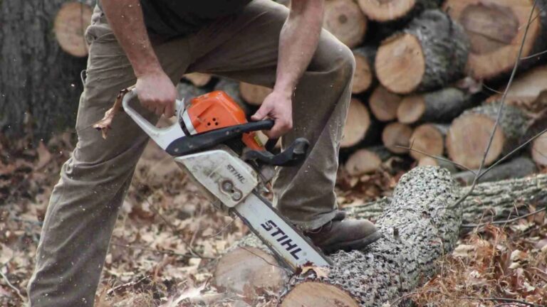 tree services Front Royal VA