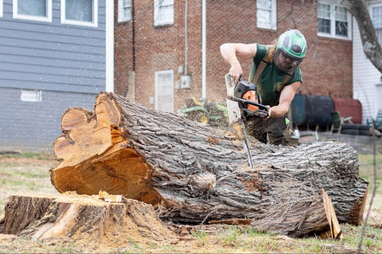 tree maintenance Inwood WV